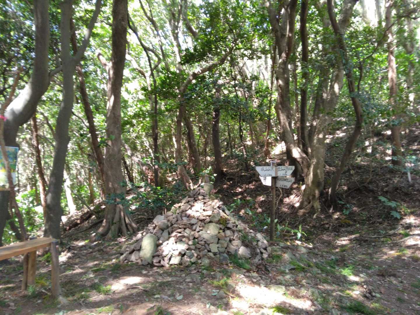 石峠
この時点でも引き返すことを考えてます。