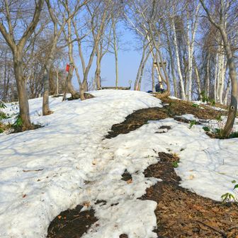 雪が消えてきた赤坂山頂上周辺