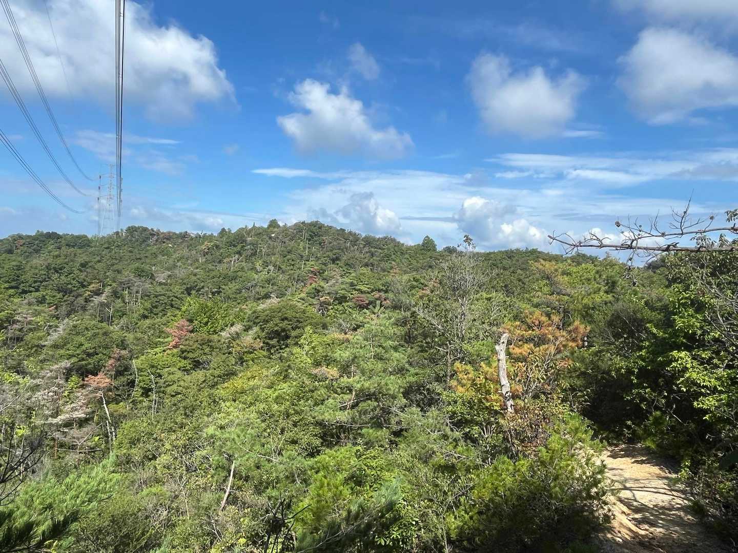 岩巣山が見えた