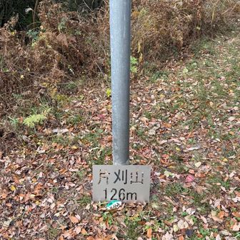 10座目、片刈山