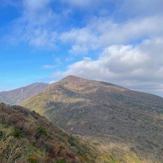 荒山も若干紅葉始まってる