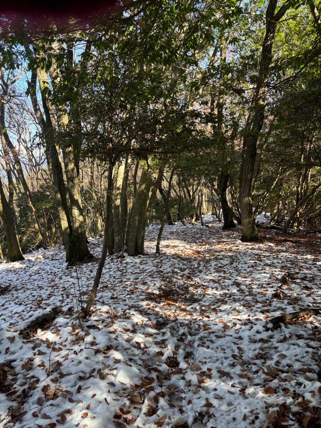 日陰の暗部には雪が残っている。この冬初めての雪山登山⁇