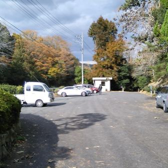 車は増えていました。