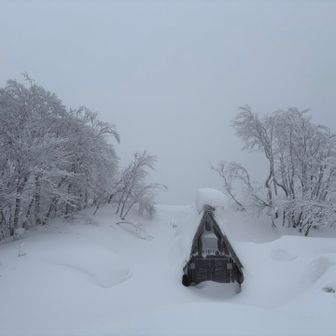 久しぶりの中岳
ここは風は弱め