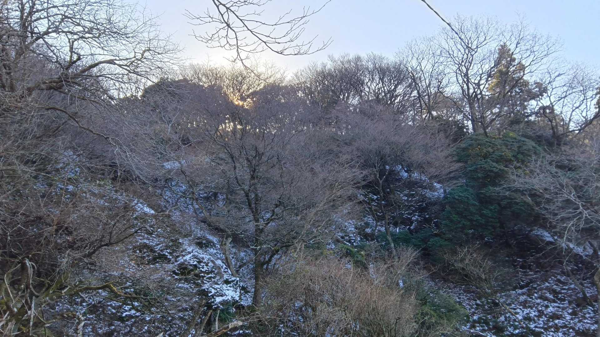 日陰は少し残ってる❄️