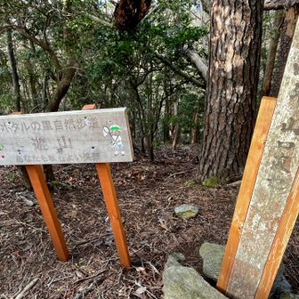 遊山山頂にはなんと「四年　山口直也」の文字が🫢直也君、絶対、友也君の兄弟だよね👬

会ったこともないけど
山口兄弟、万歳〜🙌🙌🙌