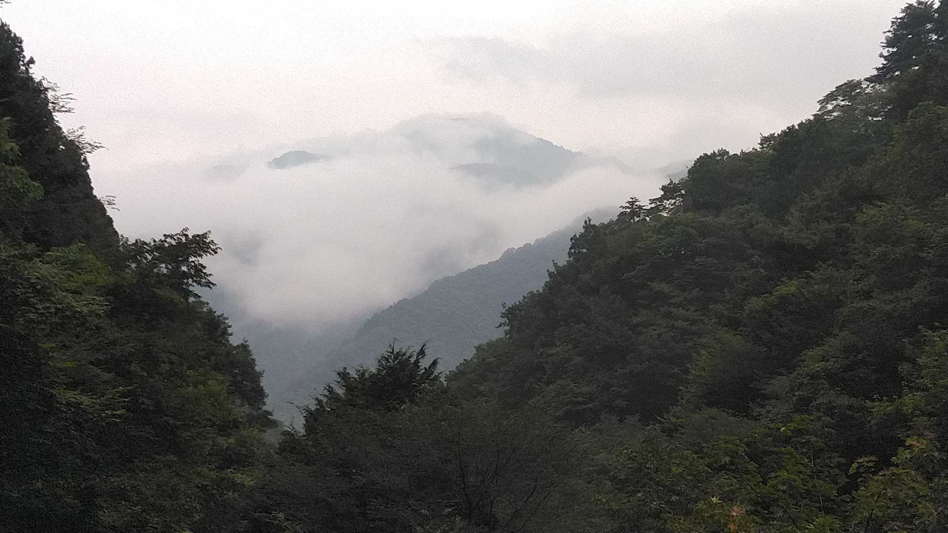 御前山、ここから見ると神々しい