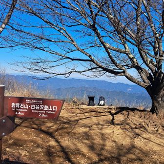 並んでるザックが可愛くて📷✨