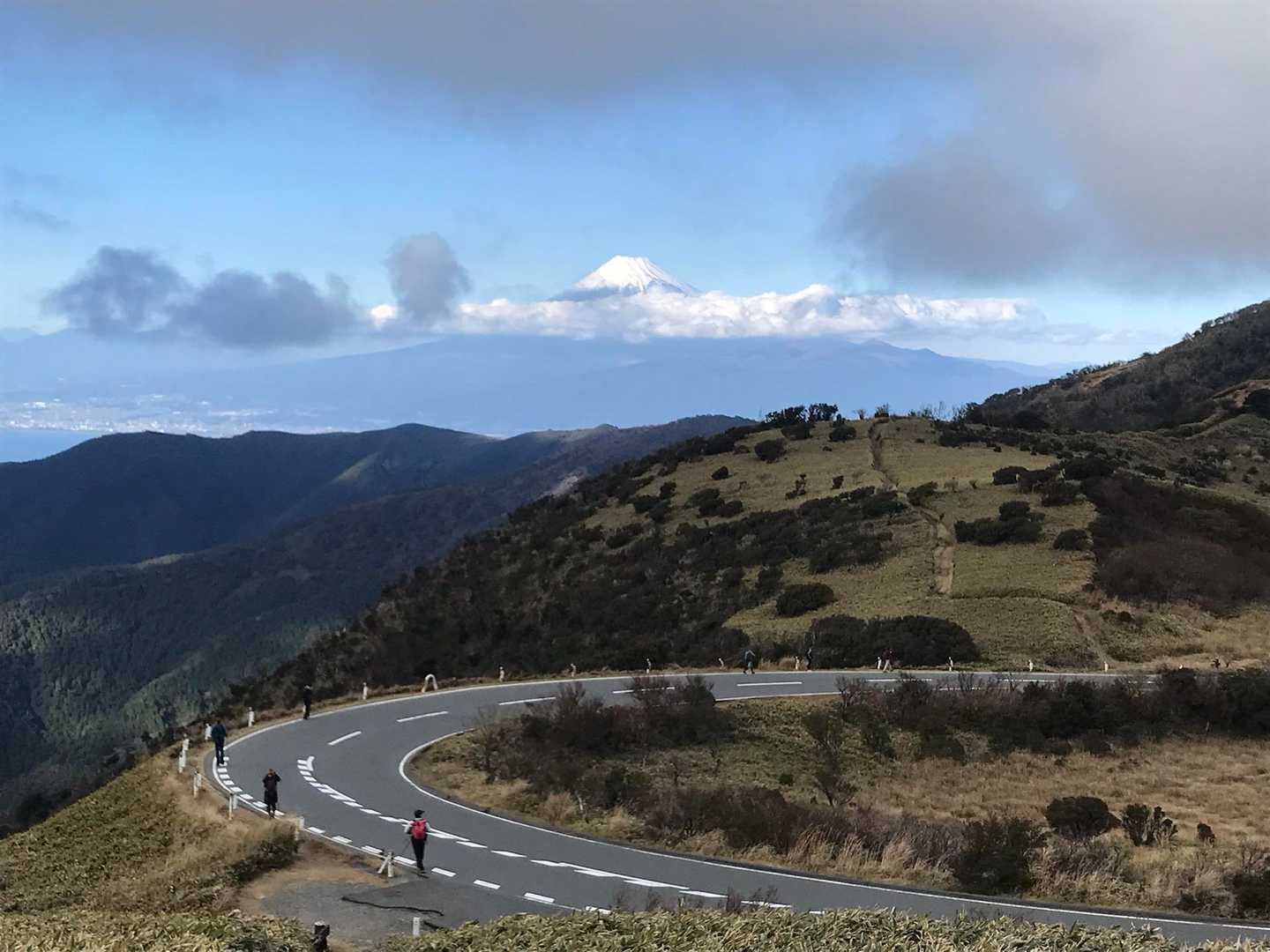 戸田峠-小達磨山-達磨山 往復コースの写真