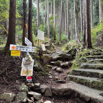 無事、下山。バス停横のコーヒー屋さんで、コーヒーとモナカをいただき、一息ついてから帰りました。