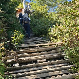 合流地点から階段を上がれば目の前はトイレポイントです
