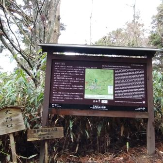 大門口女人堂跡
大門横には『龍神口女人堂』がある。同じく大門に到達する町石道のお堂は少し離れたこの場所に🤔
七口全てに説明板が設置されていました✨