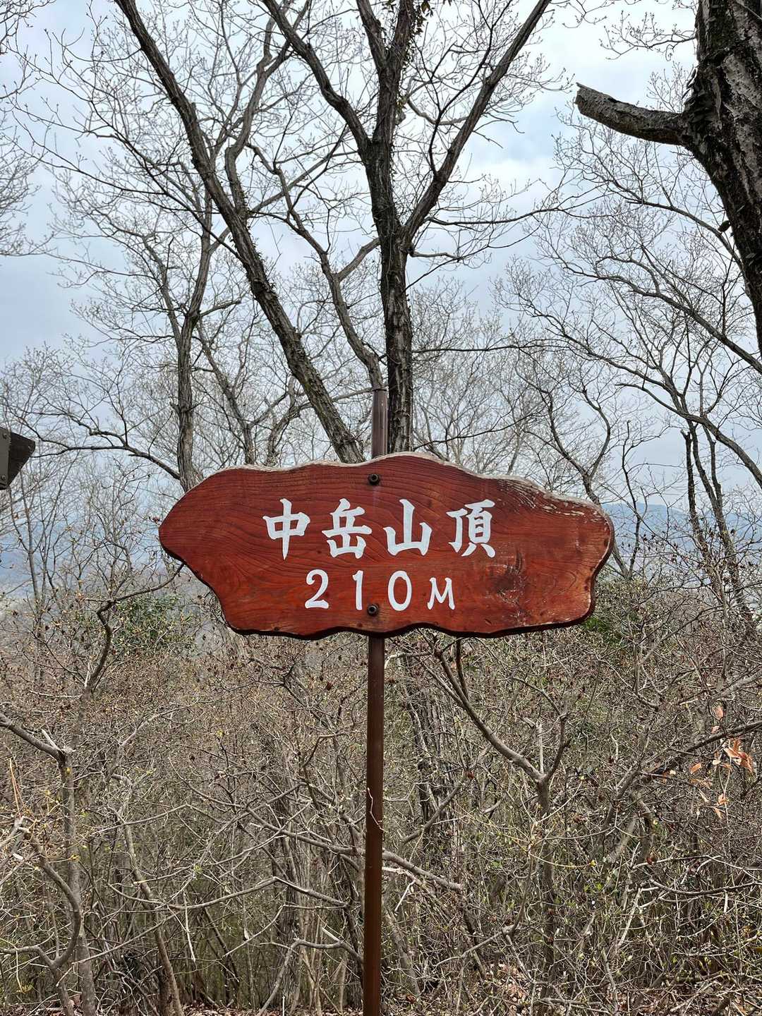 山頂