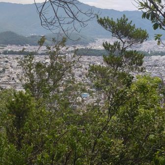 見えるのは比叡山⛰️