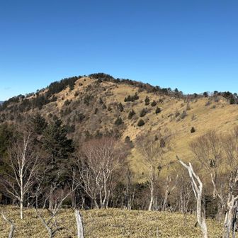 牧歌的なお山。何回きてもいいです