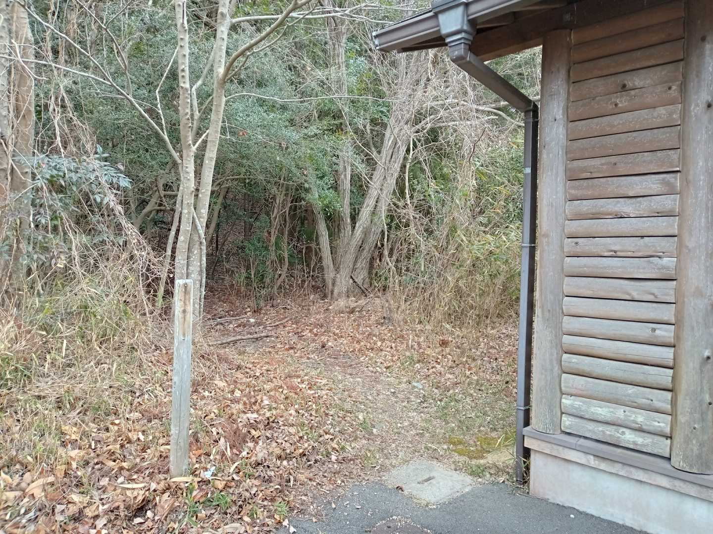 トイレの横から東尾根コースに入ります。