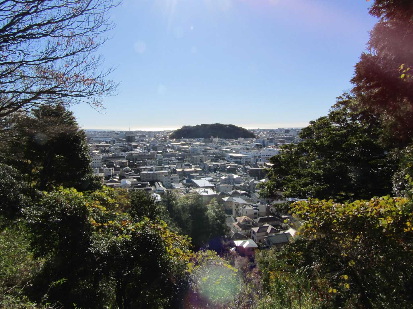 八幡山
