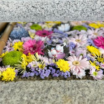 そこそこ食べる