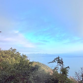 　　　国東半島もピンクに🩷