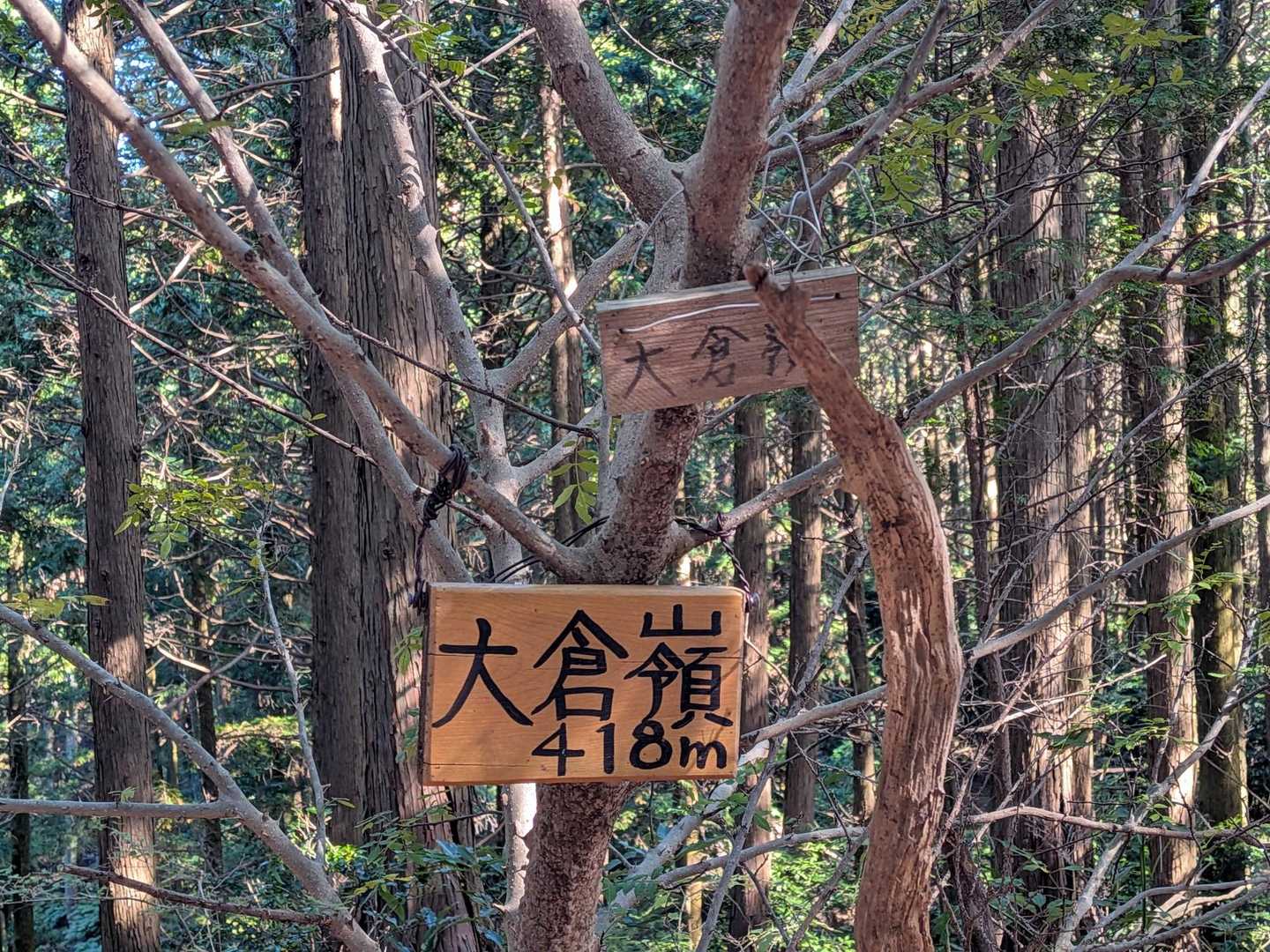 大倉嶺に寄ってみました。