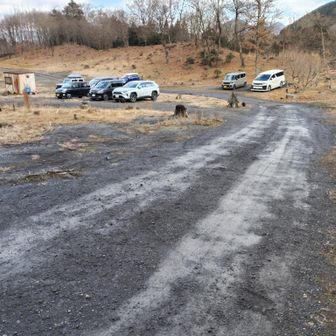 吉部駐車場　車少ない。
お疲れ様でした🙇‍♂来年もヨロシクです