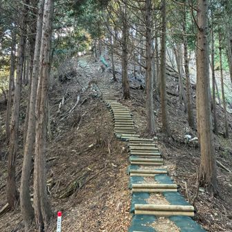階段が現れた💦