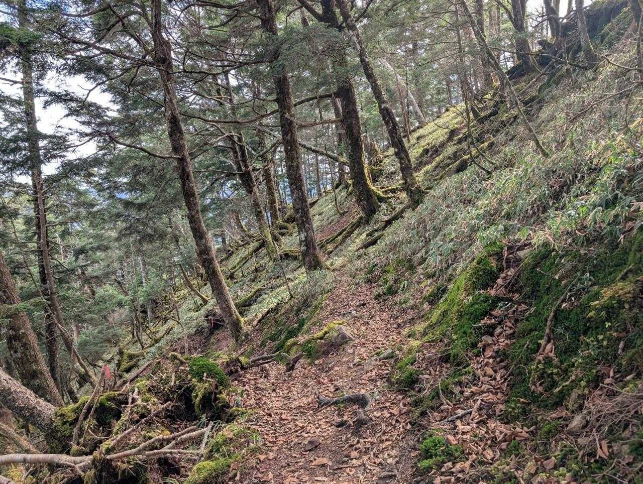 雁坂小屋に向け
割と高度を下げます