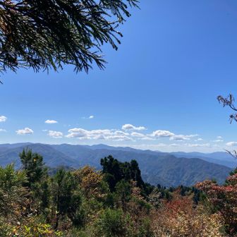 大倉岳方面
