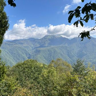 焼岳山頂は雲の中
それでも少し癒される