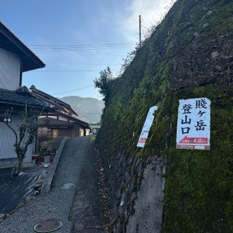 ここから登ります