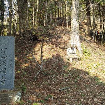 なにやら仏像が🙏