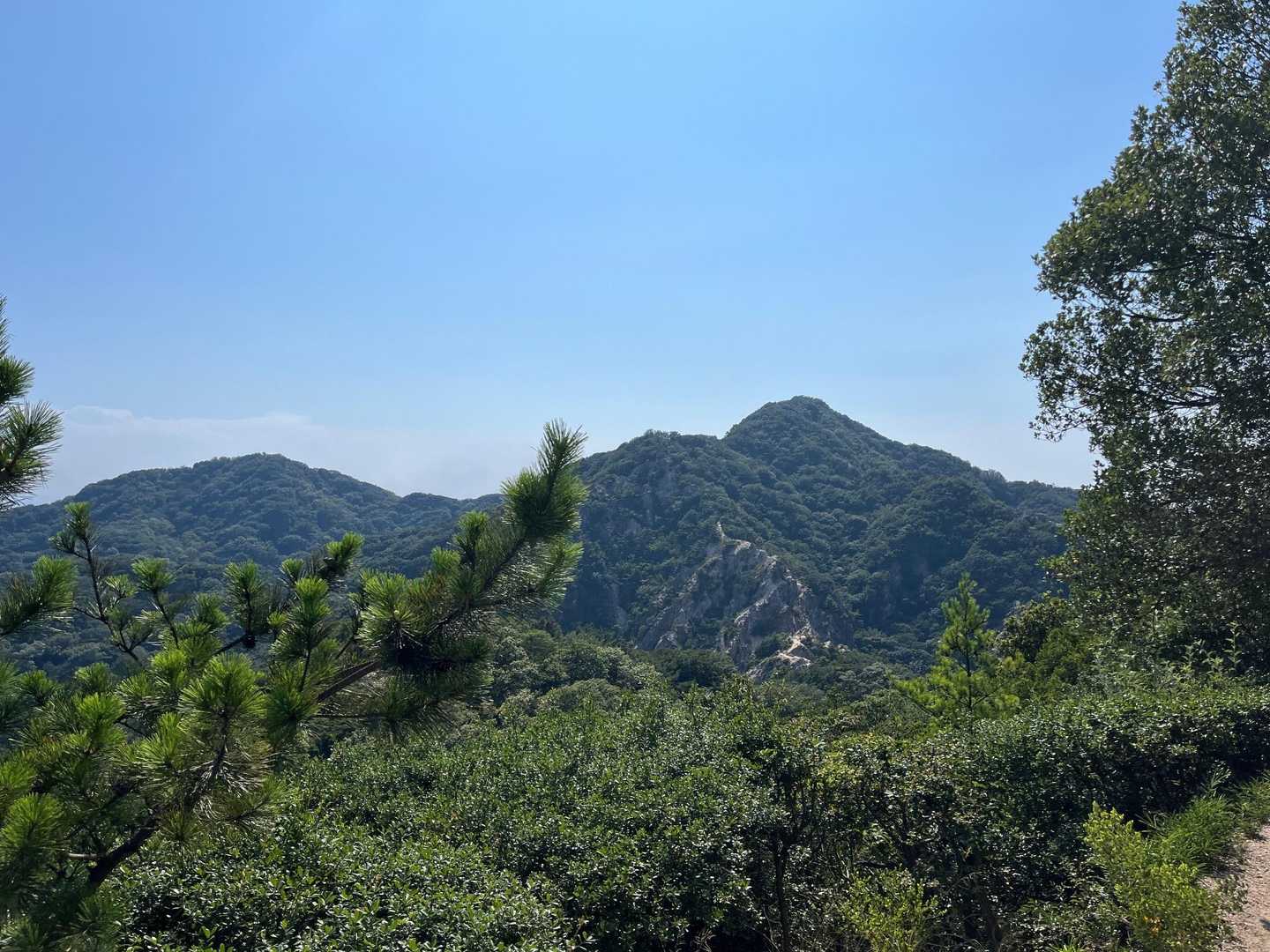 東山 往復コースの写真