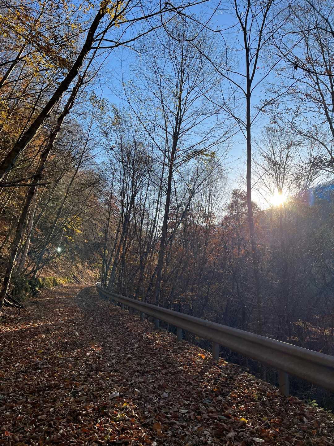 雁坂峠-雁坂嶺 往復コースの写真