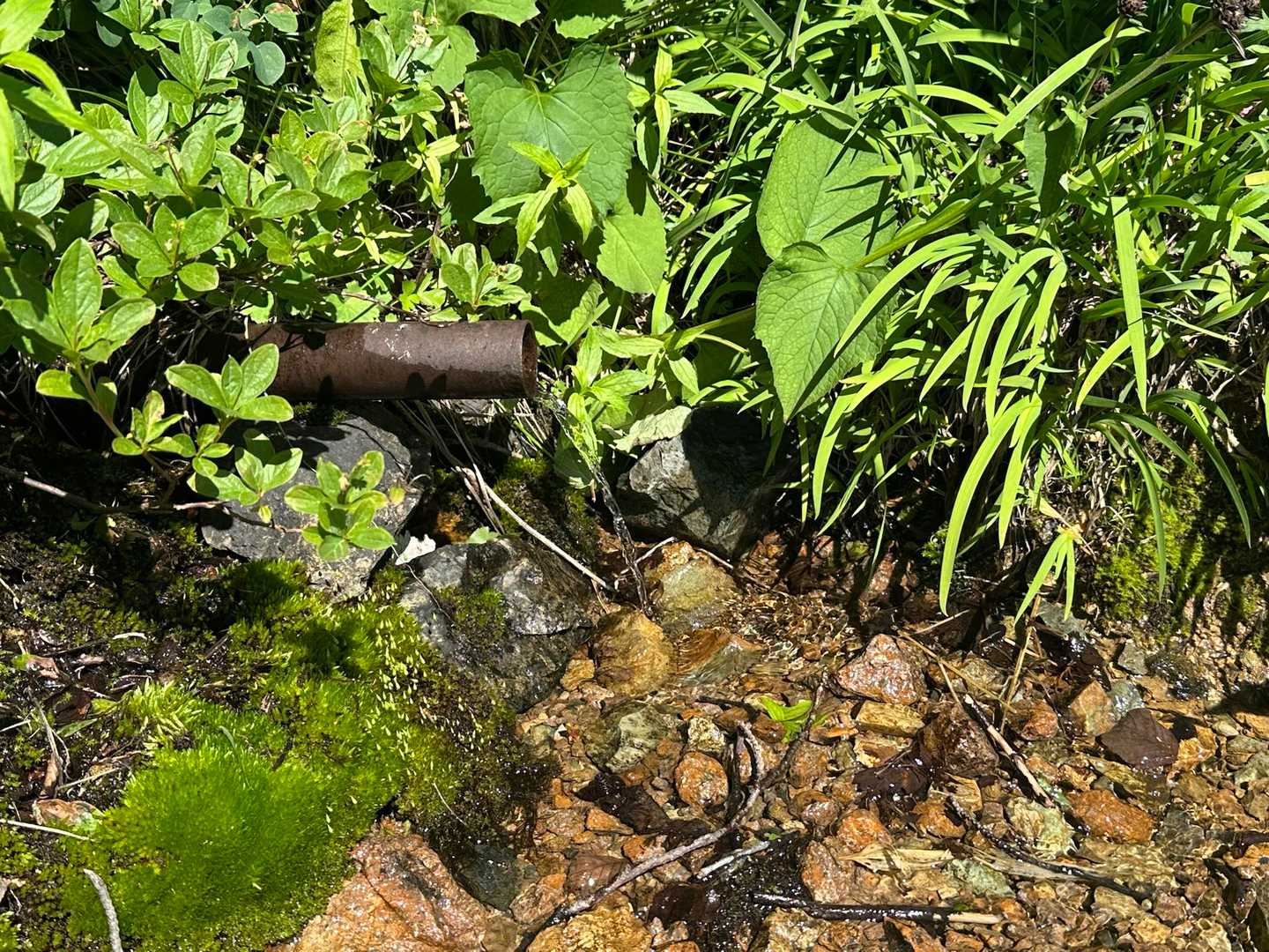 花園三角点近くの水場
冷たくて美味しい