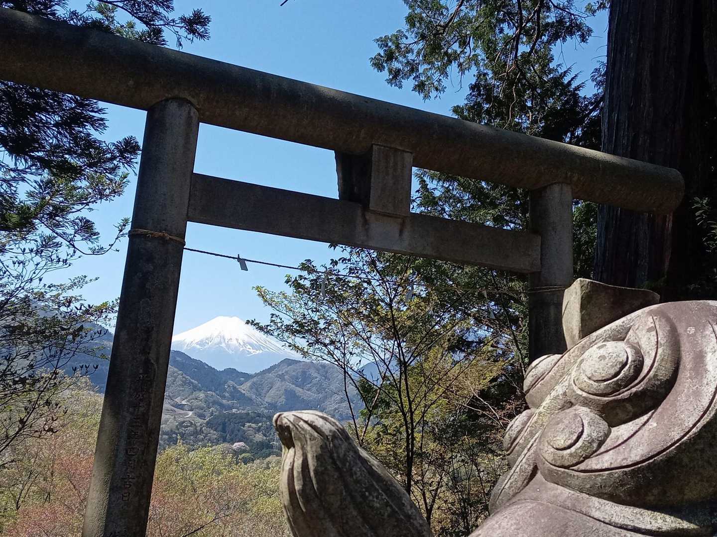 大神社⛩️の狛犬が見る景色🗻