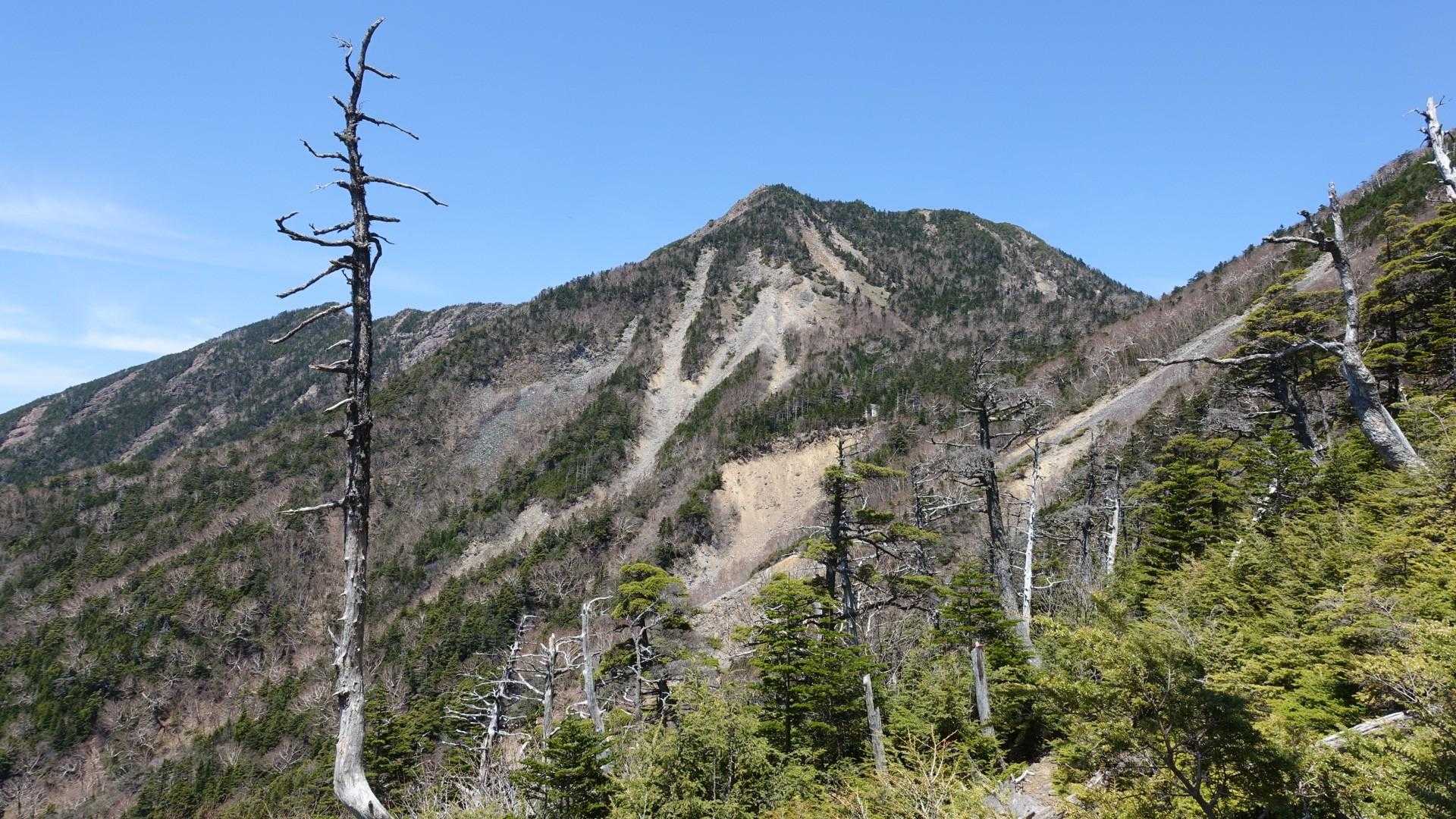 女峰山をズーム。
相変わらずの美しい姿。