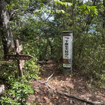 途中まではピストンでココを下麻生大牧谷方面へ↘️