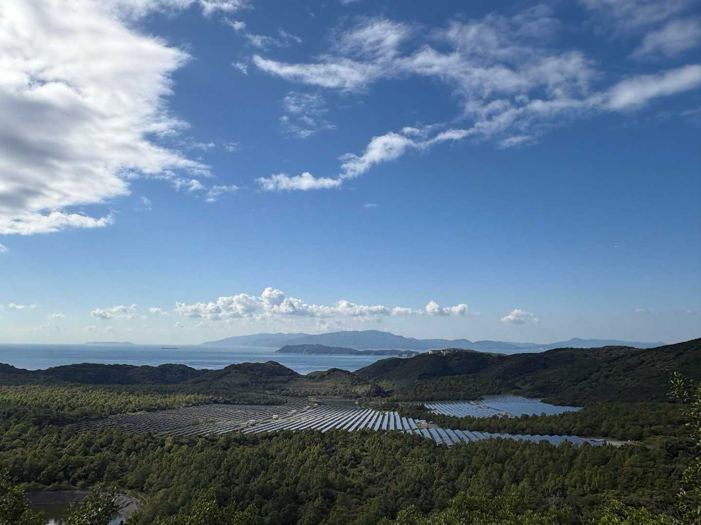 すっかり良い天気になりました