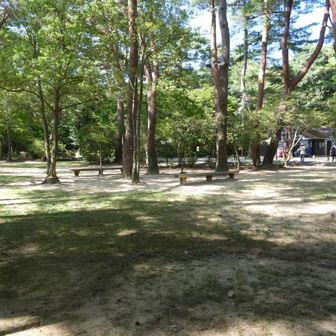 再度公園で🍙🍙食べ終えてやっと、カメラを撮りだした😆