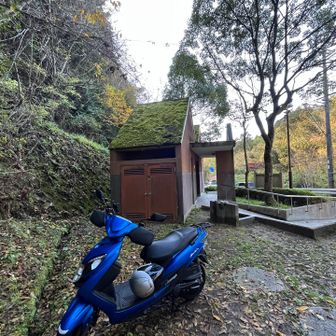 2万歩歩きました🚶