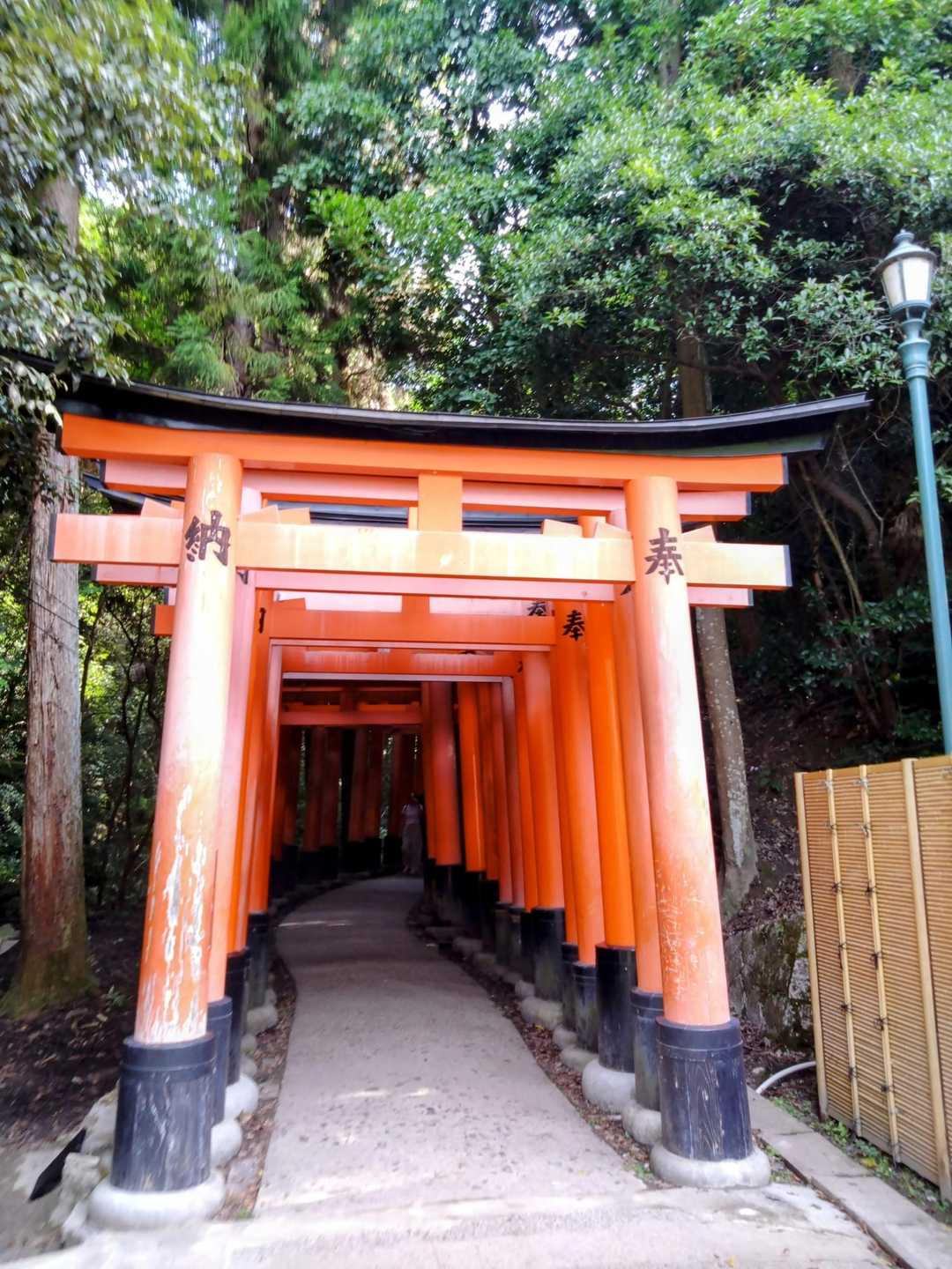 伏見稲荷大社-熊鷹社-稲荷山 周回コースの写真