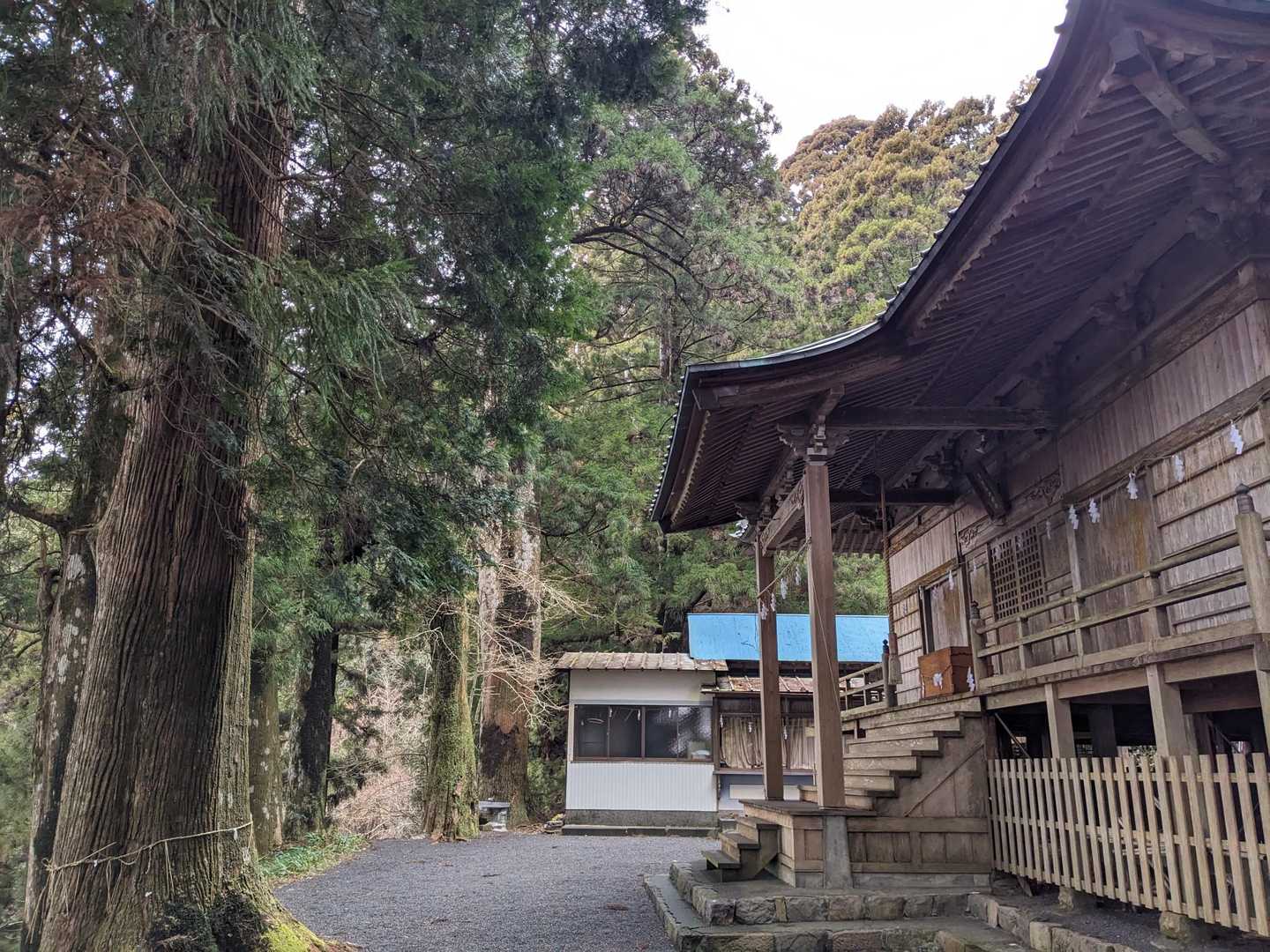 お参りしてから山頂に行きます
左には大スギ。パワーをいただきました