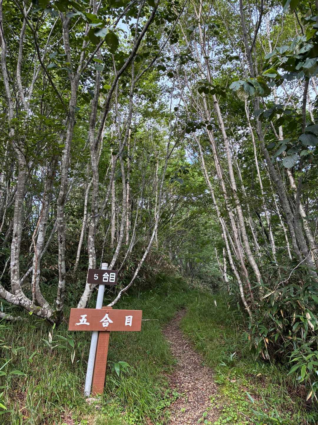 来馬岳-化物山 往復コースの写真