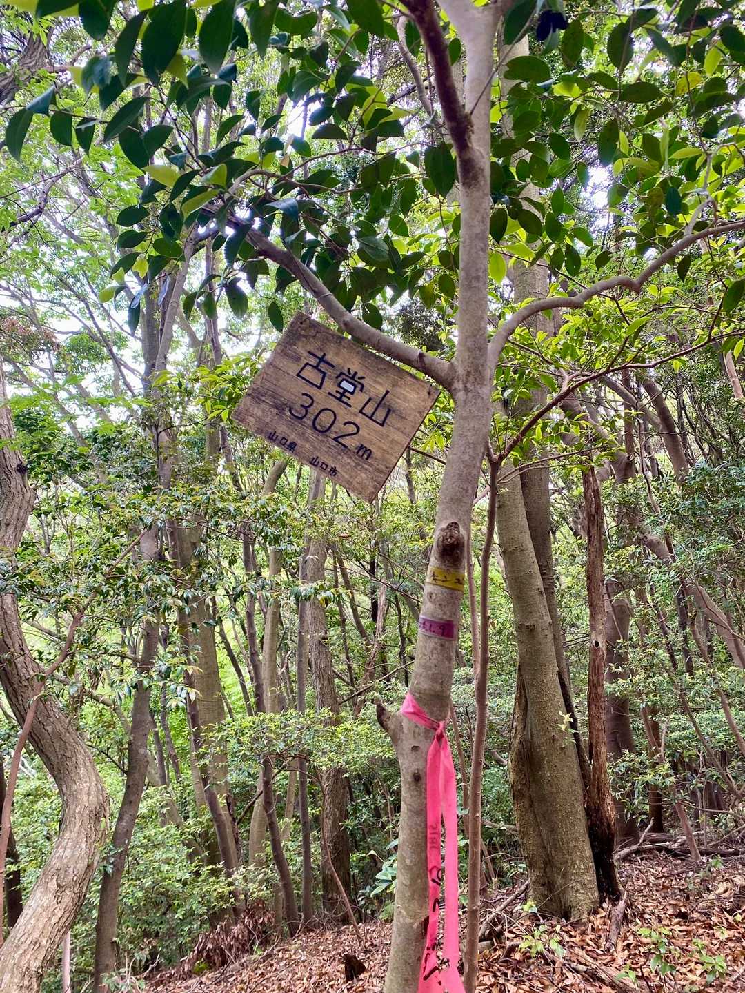 『古堂山』山頂‼️