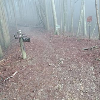 アクバ峠に戻る
