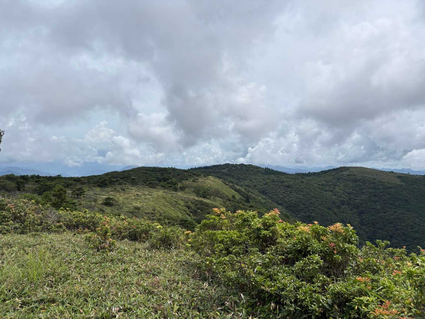 まだ未踏の千町ヶ峰