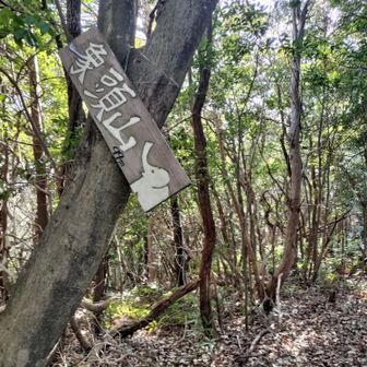 6座目：象頭山登頂🙌