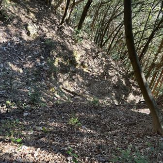 切り通し③
か竪堀
…攻めてませんよ
表敬訪問です😫