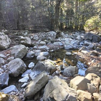 最後は渡渉コースで🚶