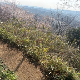 綺麗にハキハキ🧹して
下さってました👏✨
ありがとうございます🙏🥰